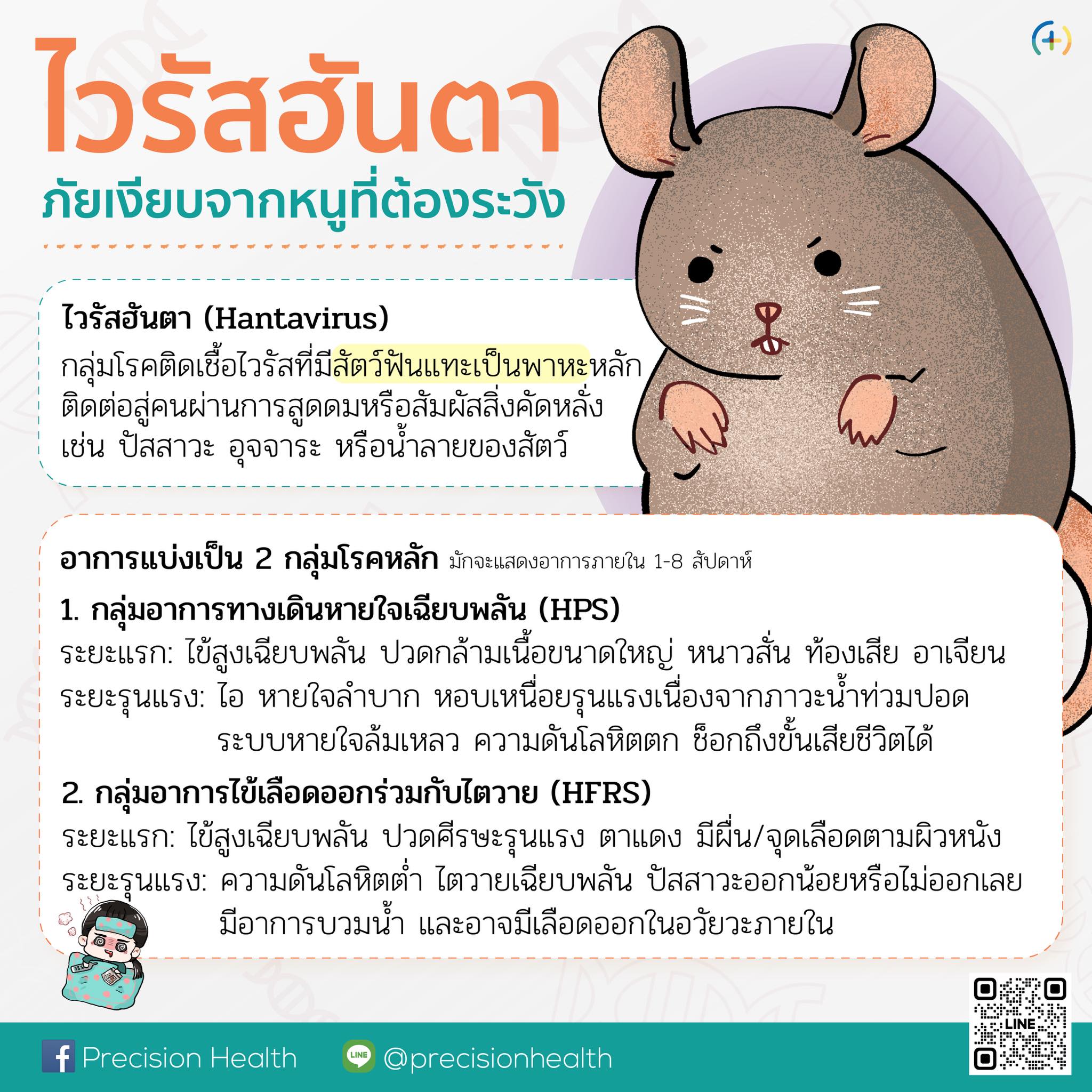 hantavirus hanta virus ฮันตา ไวรัส โรคจากหนู